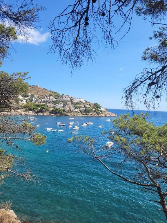 Apartamento Cala Montgo L' Escala Eksteriør bilde